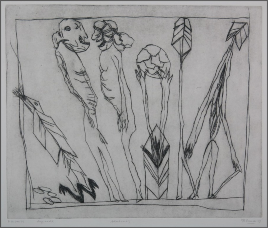 Hanny Ramaer: Droge naald, Plantaardig kopen? Bied vanaf 1!