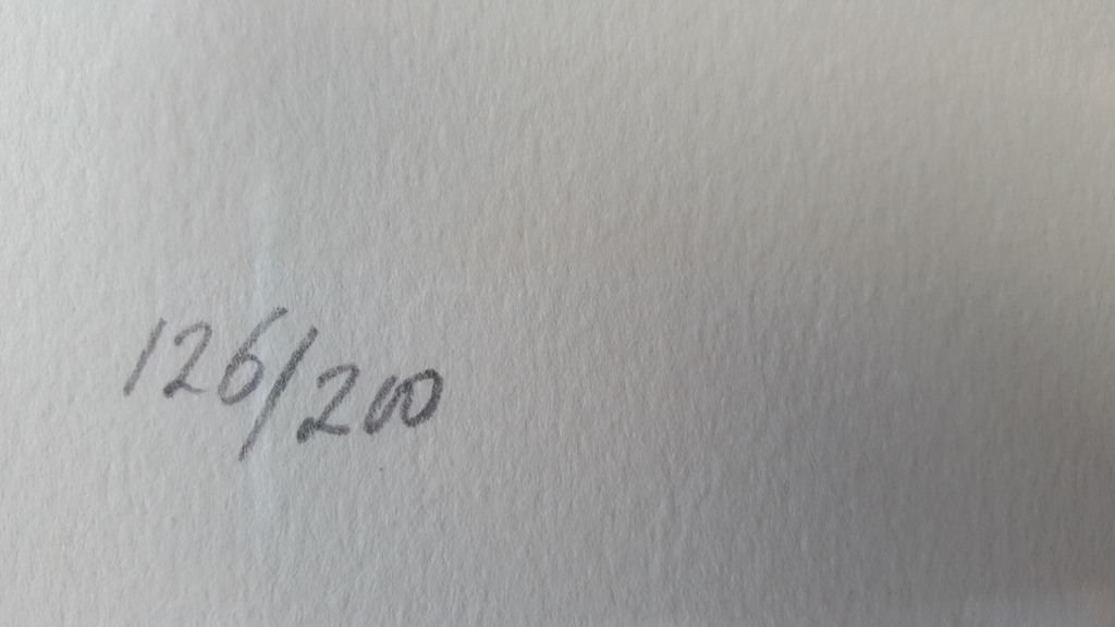 Kees Salentijn - zeefdruk 126/200, gesigneerd (groot)  kopen? Bied vanaf 60!