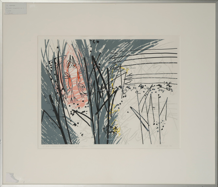 Edith Cammenga: Zeefdruk, De dode schaatster - Ingelijst kopen? Bied vanaf 1!