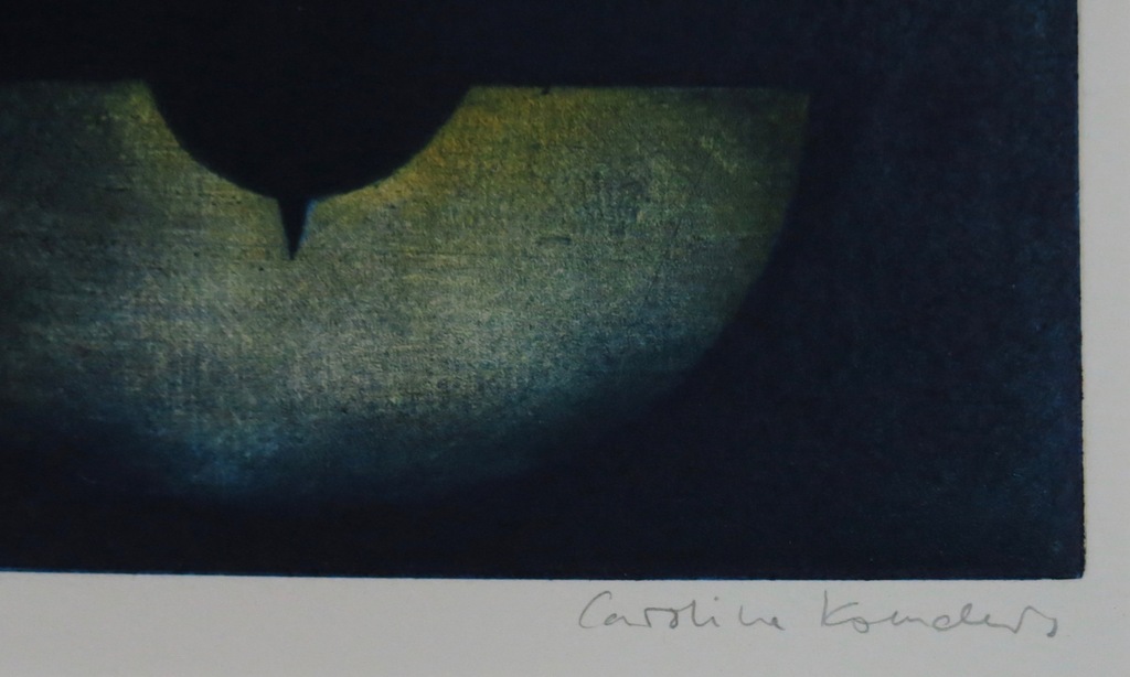 Caroline Koenders: Mezzotint, Versie II kopen? Bied vanaf 20!