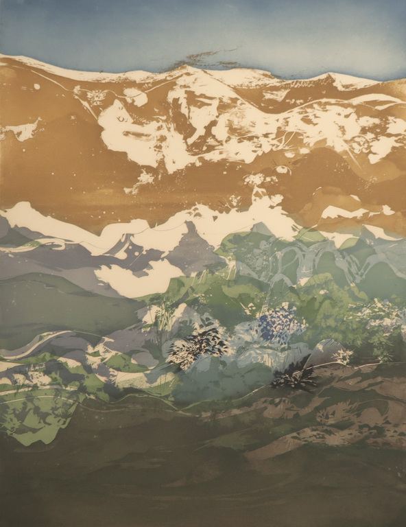 Nicole Tercinet Levin: Aquatint, Alpilles kopen? Bied vanaf 1!