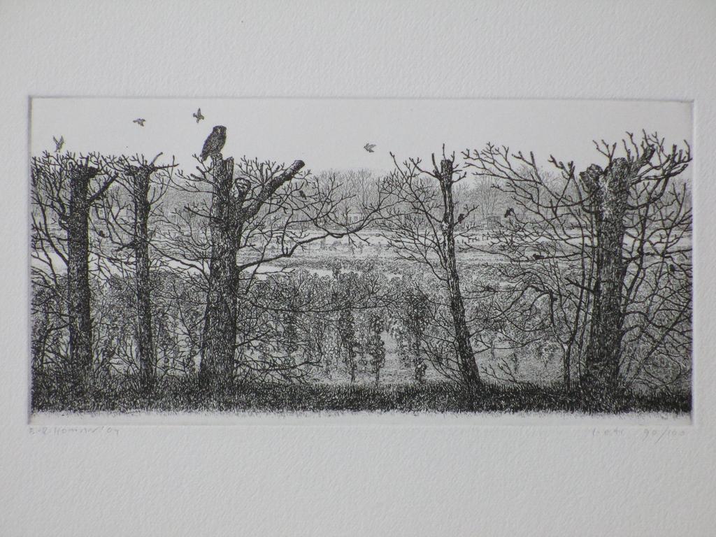 Reinder Homan, Uil in vogelrijk landschap, Ets verkocht voor € 65!