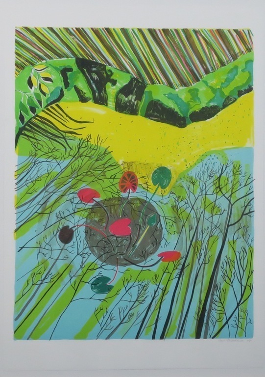 Dorian Hiethaar: Litho, Vijver - Ingelijst kopen? Bied vanaf 1!