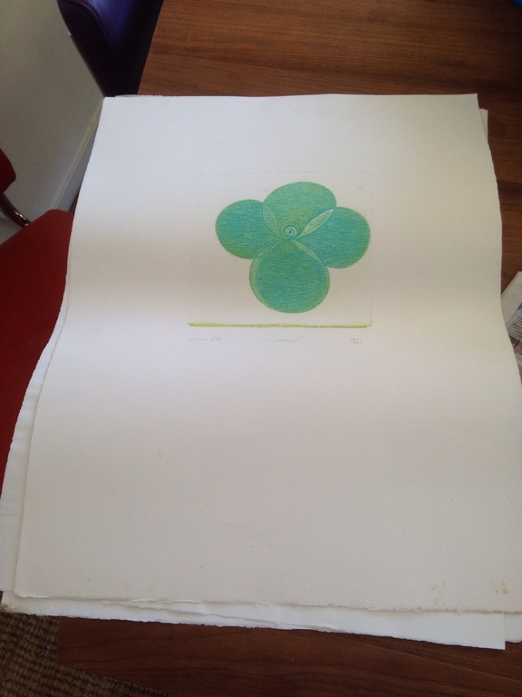 Eduard Flor: grafiek, le printemps 170/190 kopen? Bied vanaf 15!