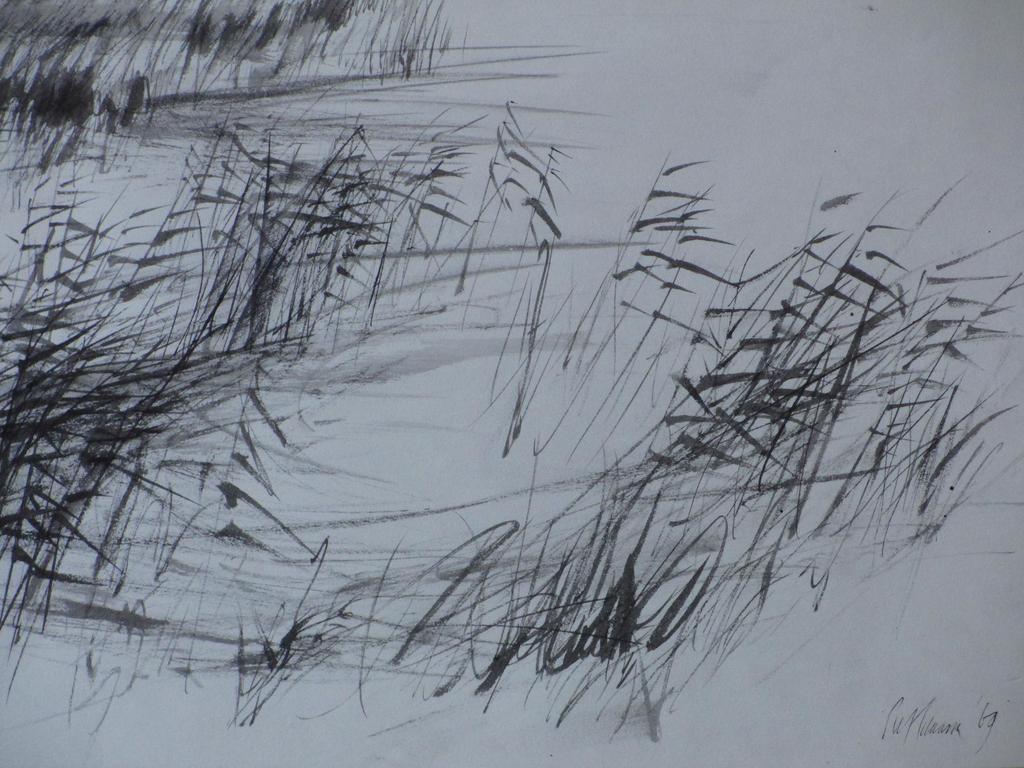 Piet Klaasse, Rietkragen, Tekening 1969 kopen? Bied vanaf 40!