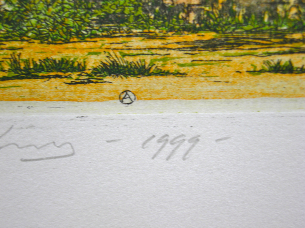 Rolf Weijburg, kleurenets, Ibo - Mozambique kopen? Bied vanaf 50!