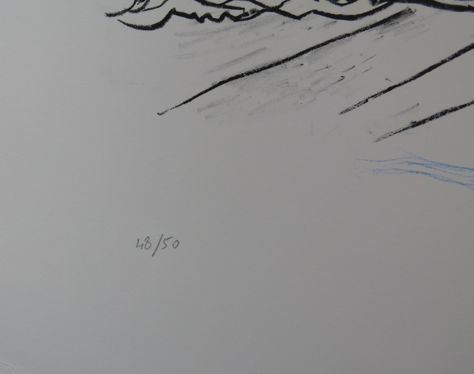 Nour Edinne Jarram: Litho, La revolte  kopen? Bied vanaf 1!