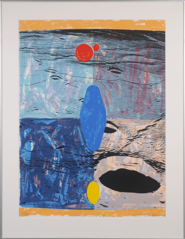 Jelis van Dolderen: Zeefdruk, Luna colorata I - Ingelijst kopen? Bied vanaf 20!