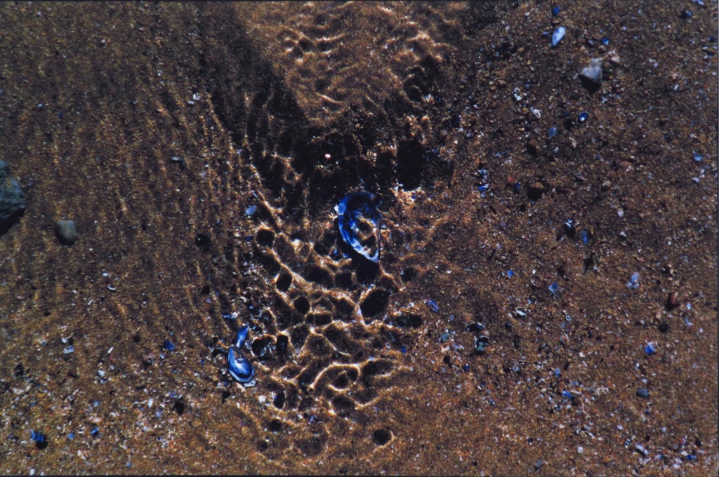 Bernard Ruygrok: Piezografie, Zonder titel kopen? Bied vanaf 1!