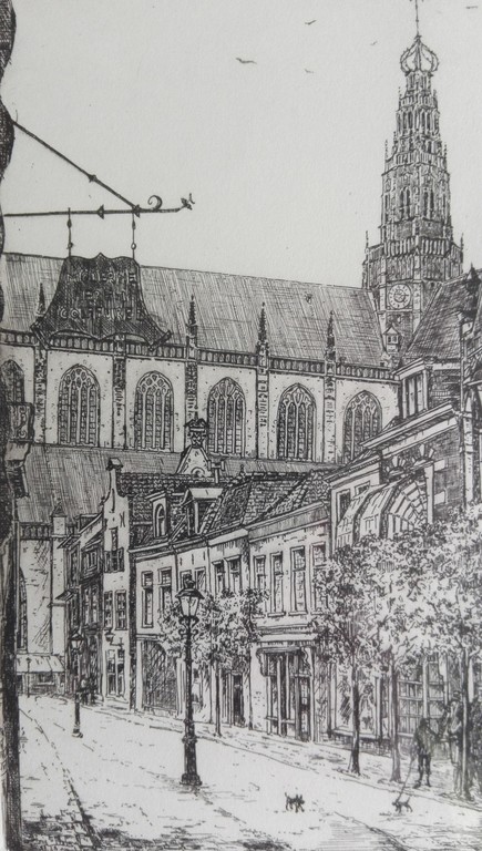 Anna Doedijns: Lijnets, Haarlemstraatje en St. Bavo kopen? Bied vanaf 1!