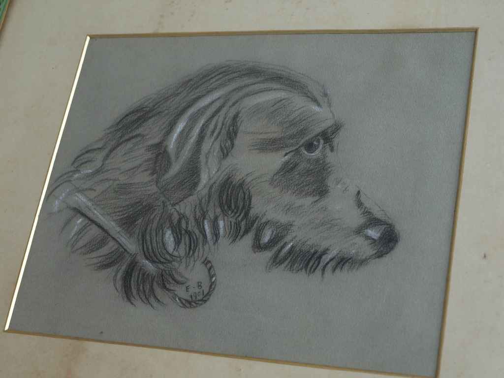 Initialen E. B.  : Tekening ,  Hond – ingelijst - 1901 kopen? Bied vanaf 1!