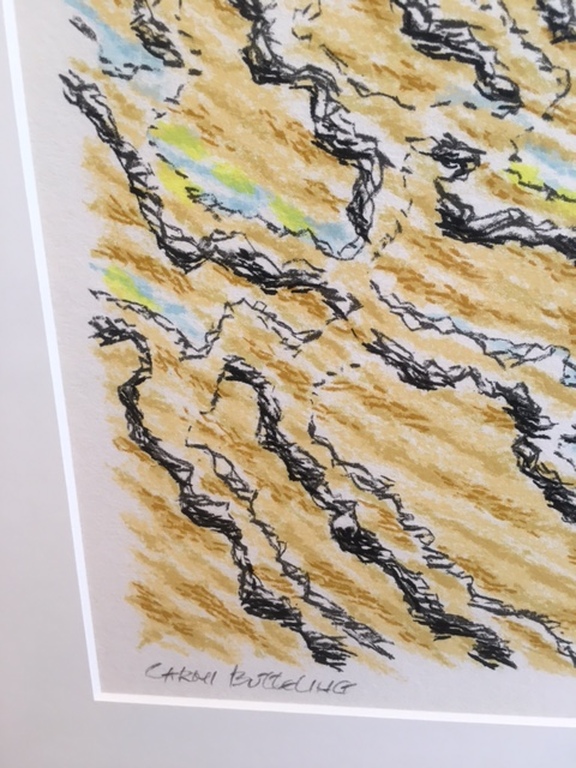 Carmi Butteling, Kleurenzeefdruk "Water" 5/20 kopen? Bied vanaf 95!