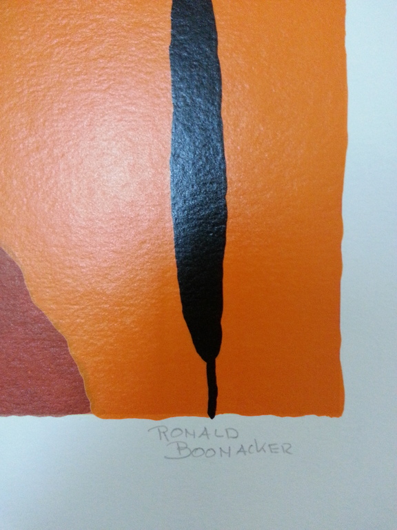 Ronald Boonacker: Zeefdruk op papier , " Lago di Garda I, Italy" kopen? Bied vanaf 50!