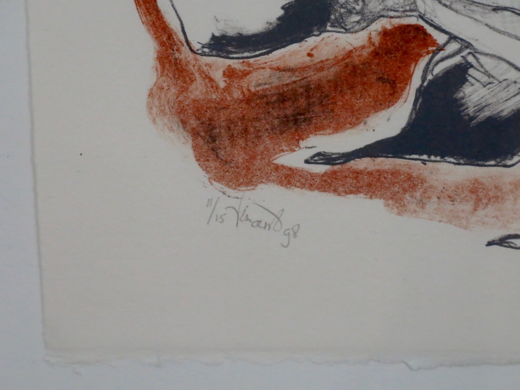 Onbekend gesigneerd: Litho, Zonder titel - Ingelijst kopen? Bied vanaf 1!