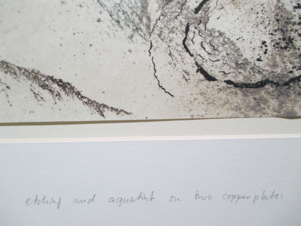 Marianne Korporaal, ets Satori Soractis 4b, 1990 kopen? Bied vanaf 1!