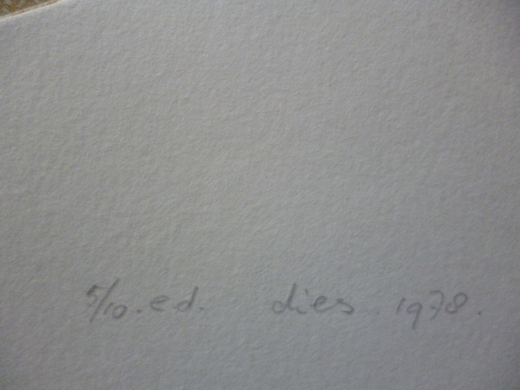 Dies de Jonge - kleurenets - Houtschaaf kopen? Bied vanaf 30!