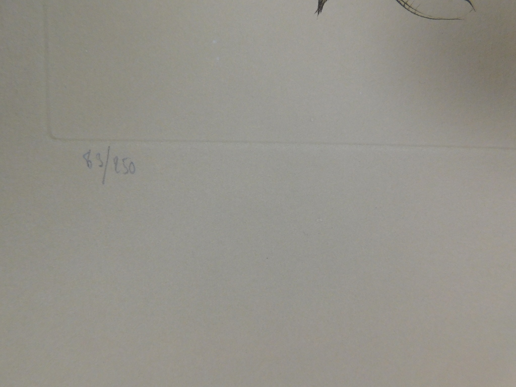 Leonor Fini - Ets - Scène de Théâtre kopen? Bied vanaf 75!