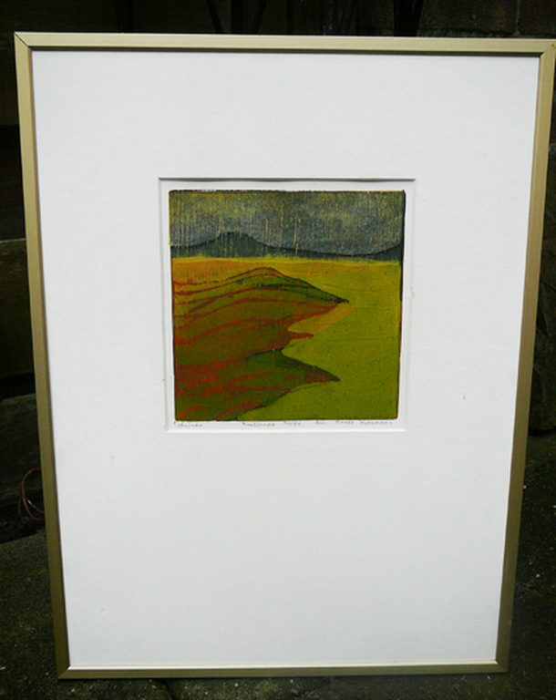 Rineke Hollemans: 'Duinen' -houtdruk 2001- kopen? Bied vanaf 35!
