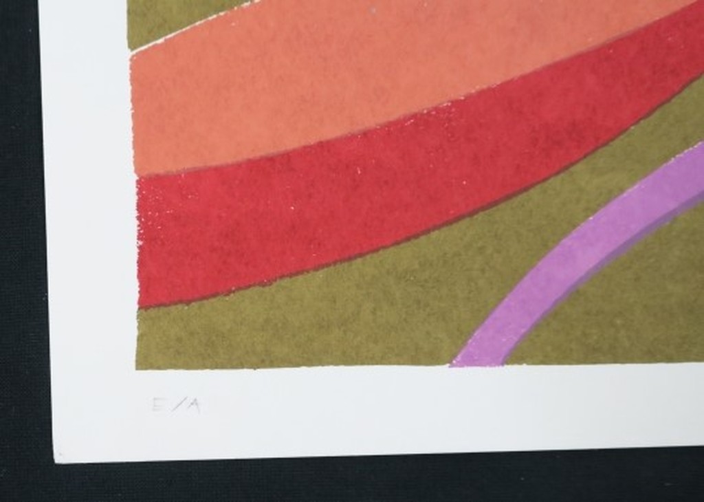 Judith Stolker: Sjabloondruk, Z.T. kopen? Bied vanaf 1!