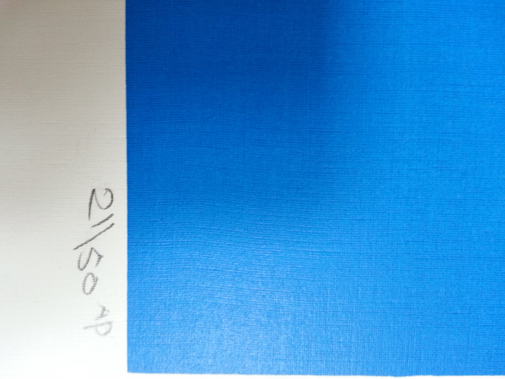 Gerard 't Hart: zeefdruk op papier kopen? Bied vanaf 40!