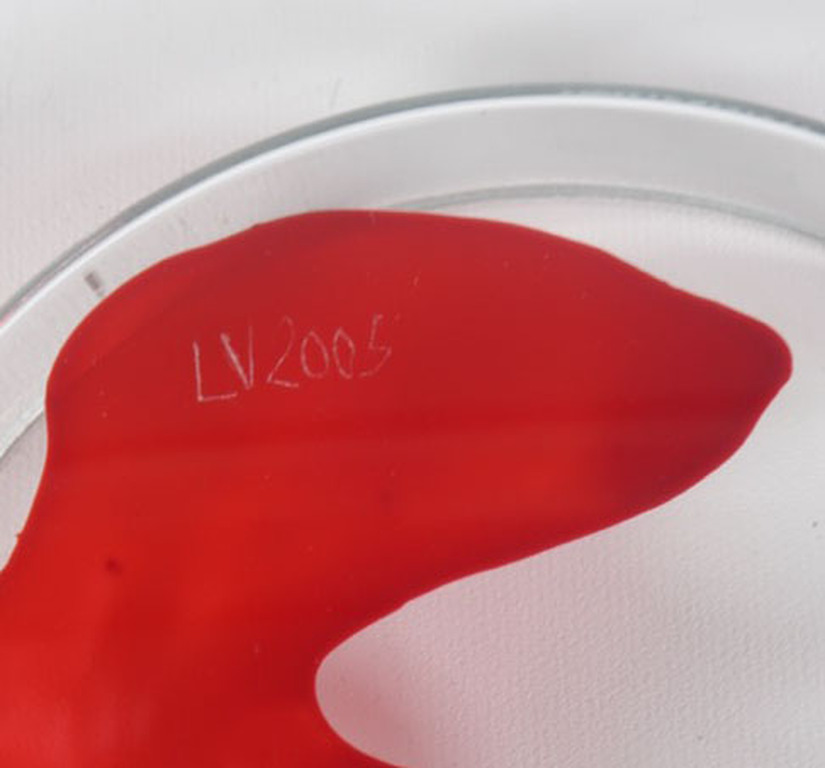 Lisette Verkerk: Beschilderd petrischaaltje, Origins II kopen? Bied vanaf 35!