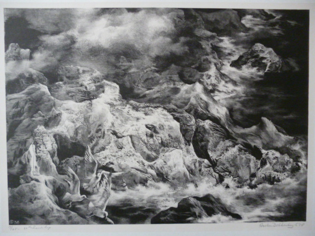 Aart van Dobbenburgh - litho - 23ste Landschap verkocht voor € 40!