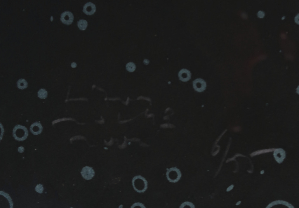 Titus Nolte: Zeefdruk, Zonder titel (Groen) - Ingelijst kopen? Bied vanaf 1!