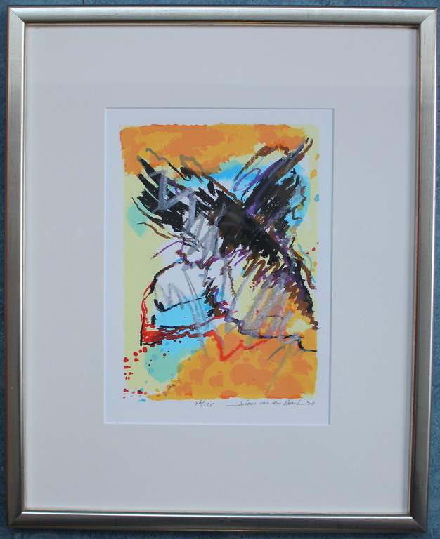 JOHANN VAN DEN NOORT, “Set van drie Papagaai duikers” 2008, zeefdruk. kopen? Bied vanaf 200!