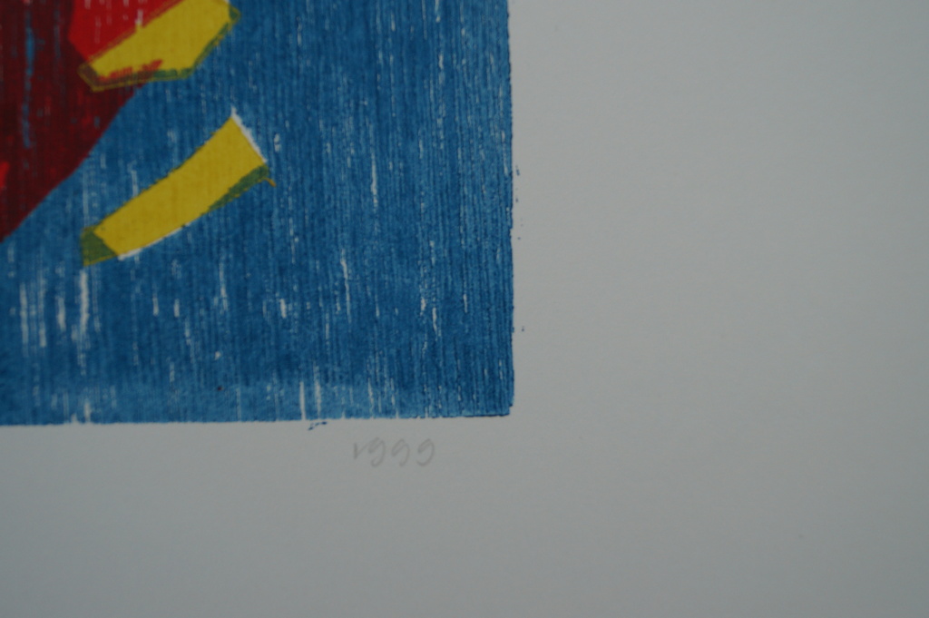 Angenelle Thijssen - gesigneerde houtsnede - de ronde van de Salamander - 20 ex. kopen? Bied vanaf 1!