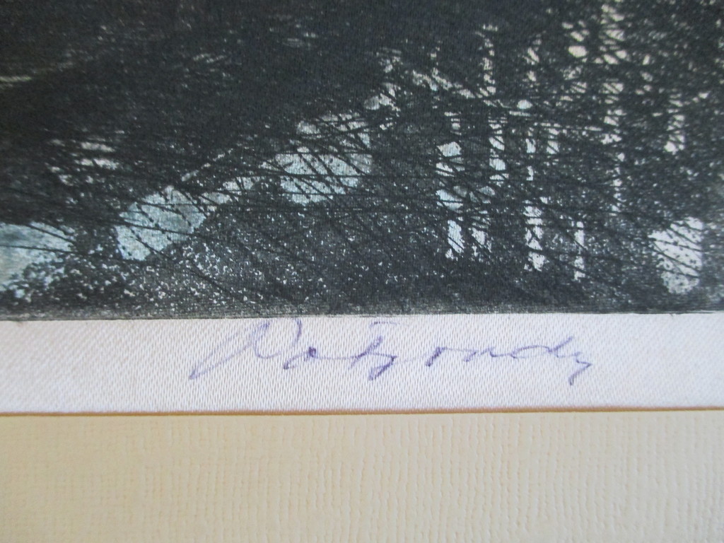 Onbekend gesign. handgekleurde ets op zijde, havengezicht kopen? Bied vanaf 1!