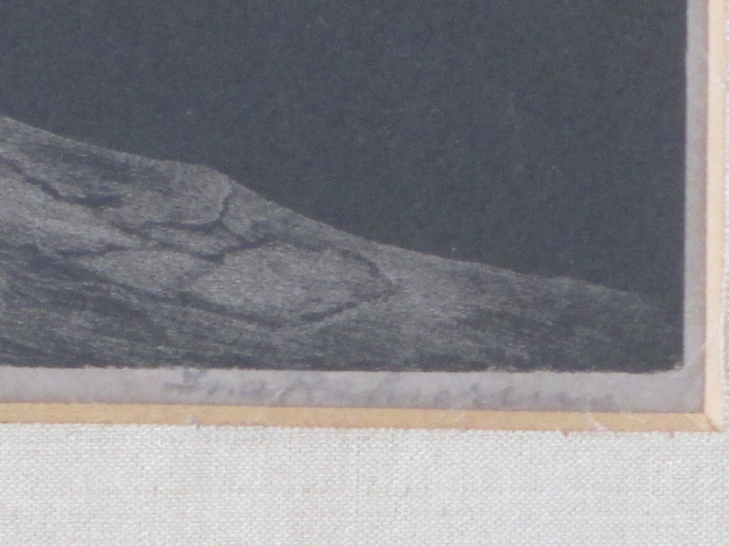 Ina Rahusen, Eekhoorn, Litho kopen? Bied vanaf 45!