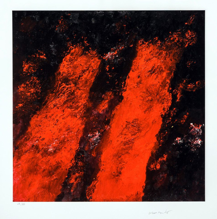 ARMANDO. Bijzonder mooie Glicee -Baume- 2014. Oplage slechts:30. Handgesigneerd kopen? Bied vanaf 169!