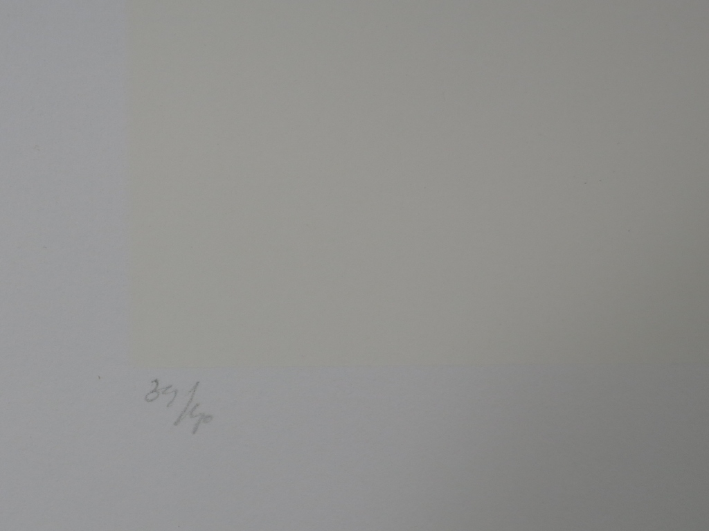 Metten Koornstra: Litho, Zonder titel kopen? Bied vanaf 50!