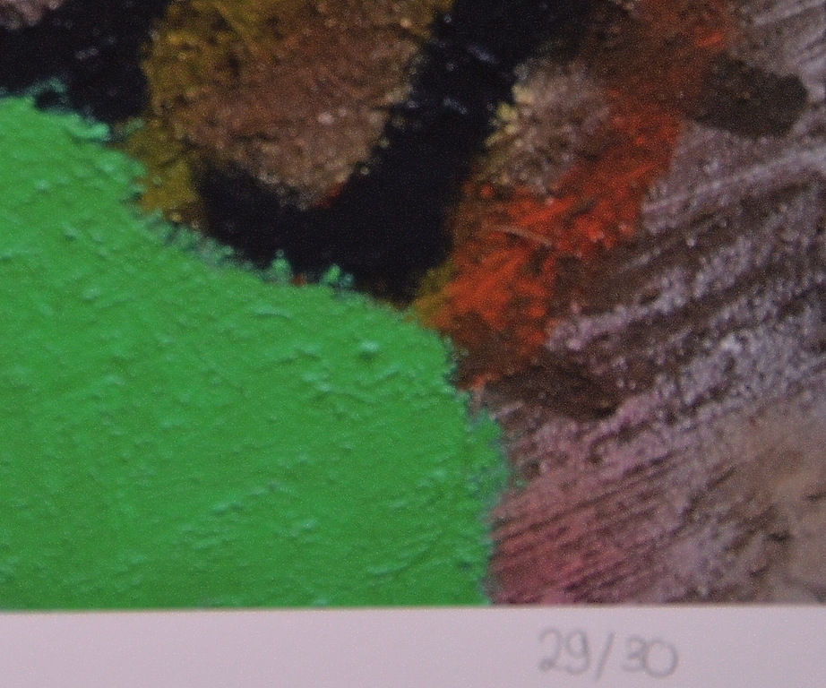 VOLKMAR SCHULZ-RUMPOLD ' Der Kopfquetscher ' gesigneerd/genummerd 29/30 *2013 kopen? Bied vanaf 49!