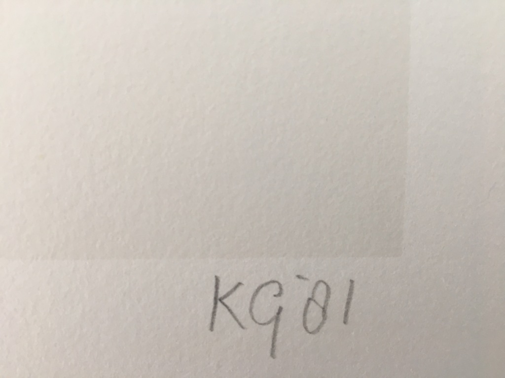 Klaas Gubbels - Gesigneerde zeefdruk  kopen? Bied vanaf 100!