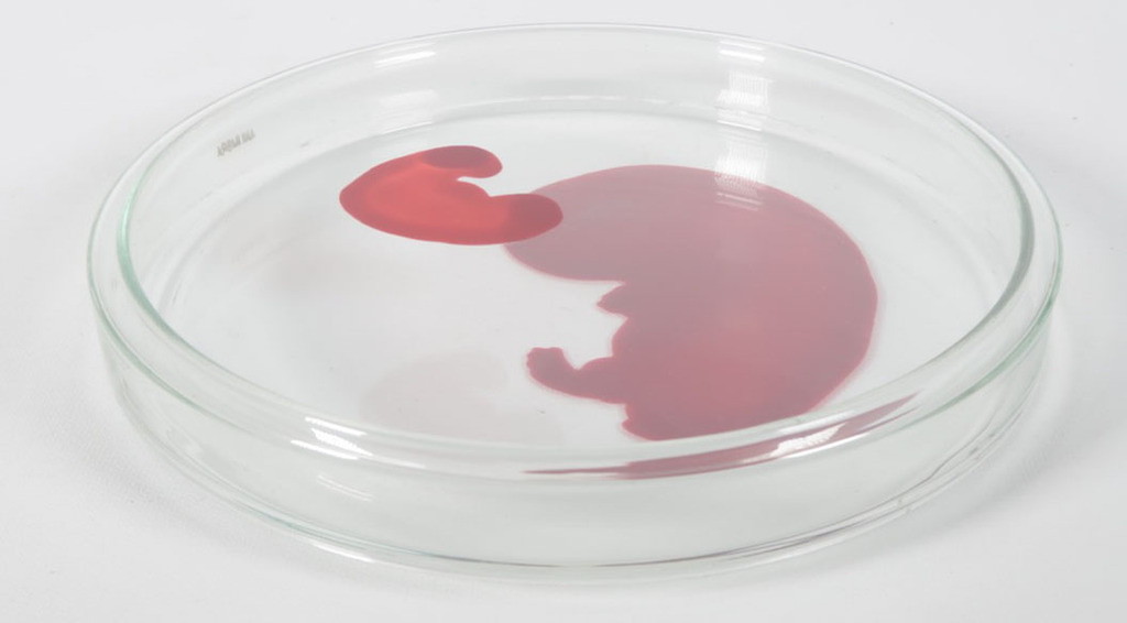 Lisette Verkerk: Beschilderd petrischaaltje, Origins kopen? Bied vanaf 35!