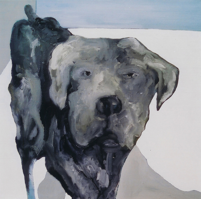 Dog (1) kopen? Bied vanaf 120!