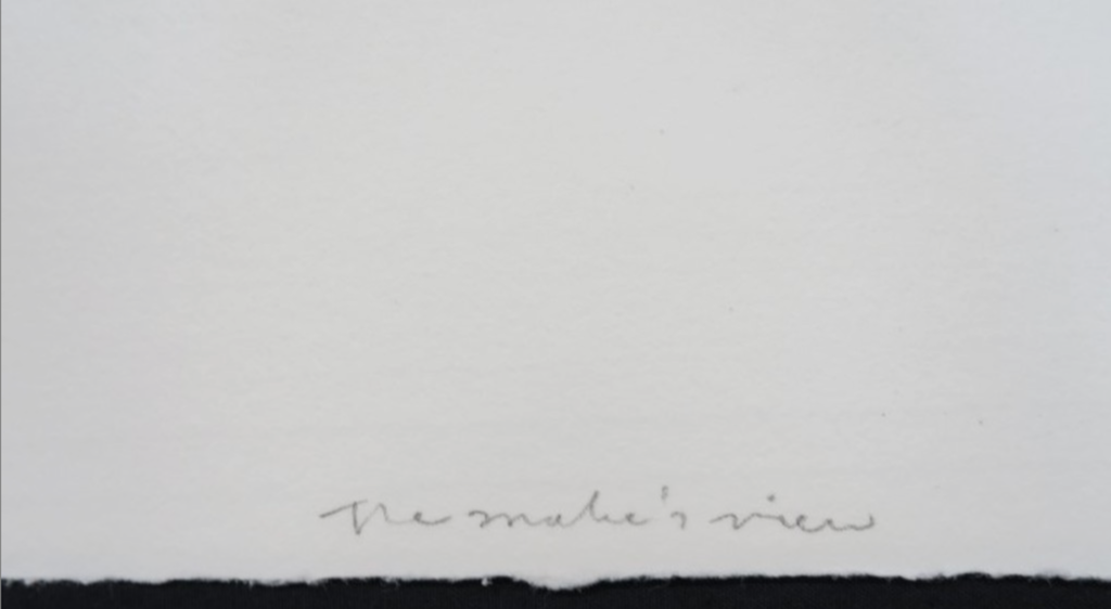 Rinke Nijburg: Ets en litho, the Snake's view kopen? Bied vanaf 1!