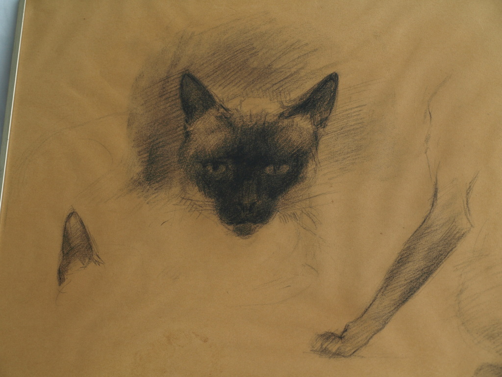 Jan Groenestein : Tekening , KAT – gesigneerd & ingelijst – ca 1960 kopen? Bied vanaf 75!