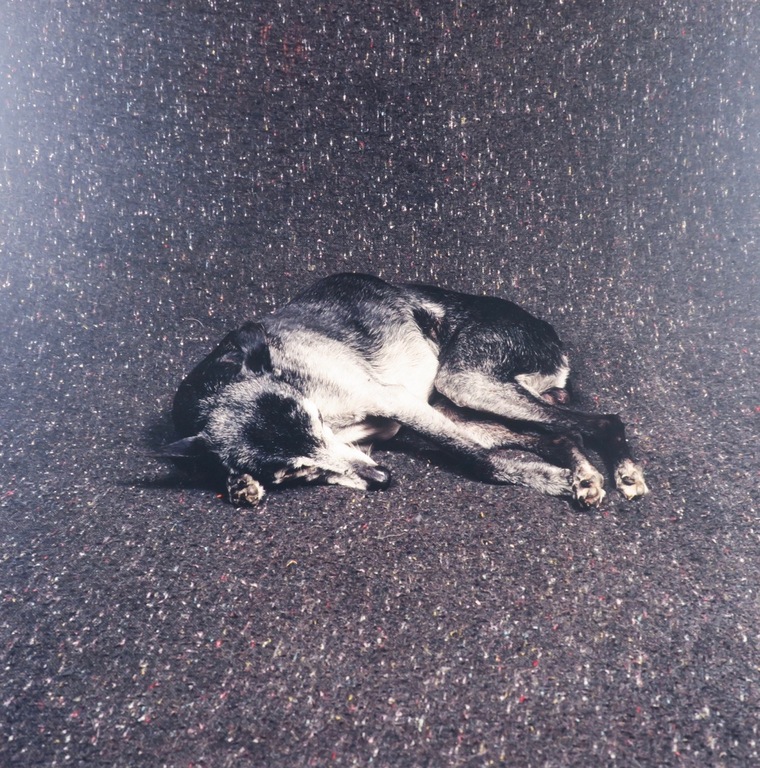 Maarten Wetsema: Foto op aluminium, Rik op bed - Ingelijst kopen? Bied vanaf 50!