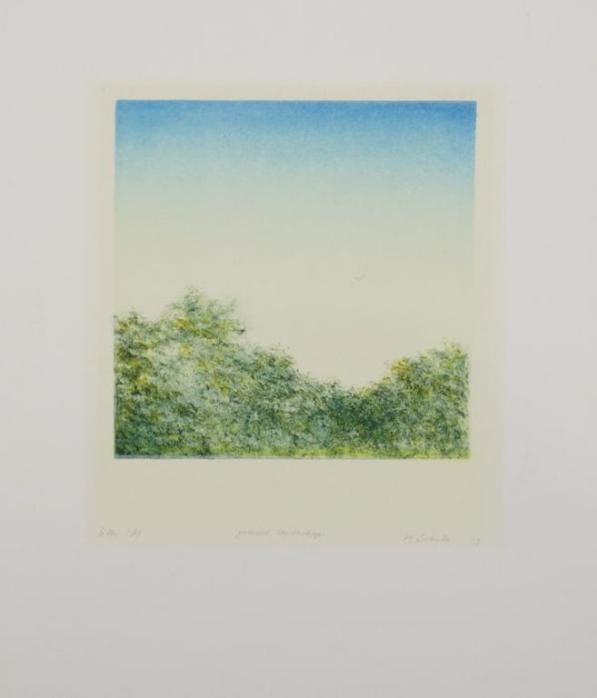 Marian Schutte: 2x Kleurenlitho, Polaroid landschap kopen? Bied vanaf 1!