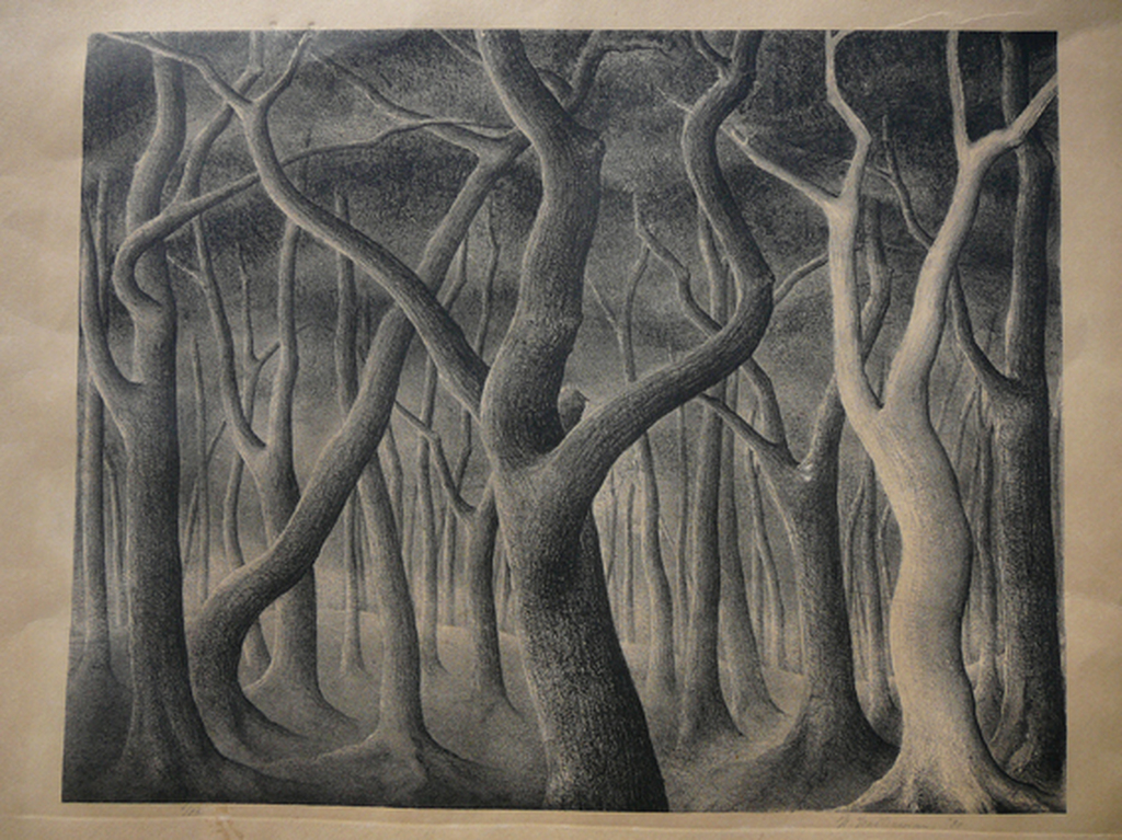 'Woud' -litho, handgesigneerd 1930- kopen? Bied vanaf 25!
