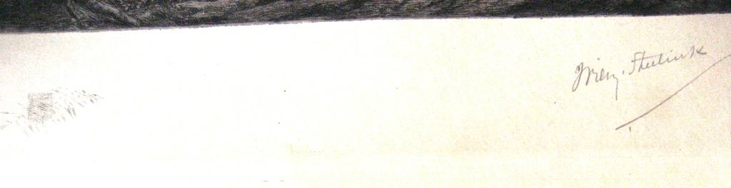 Originele, gesigneerde ets van Willem Steelink (1856-1928) kopen? Bied vanaf 20!
