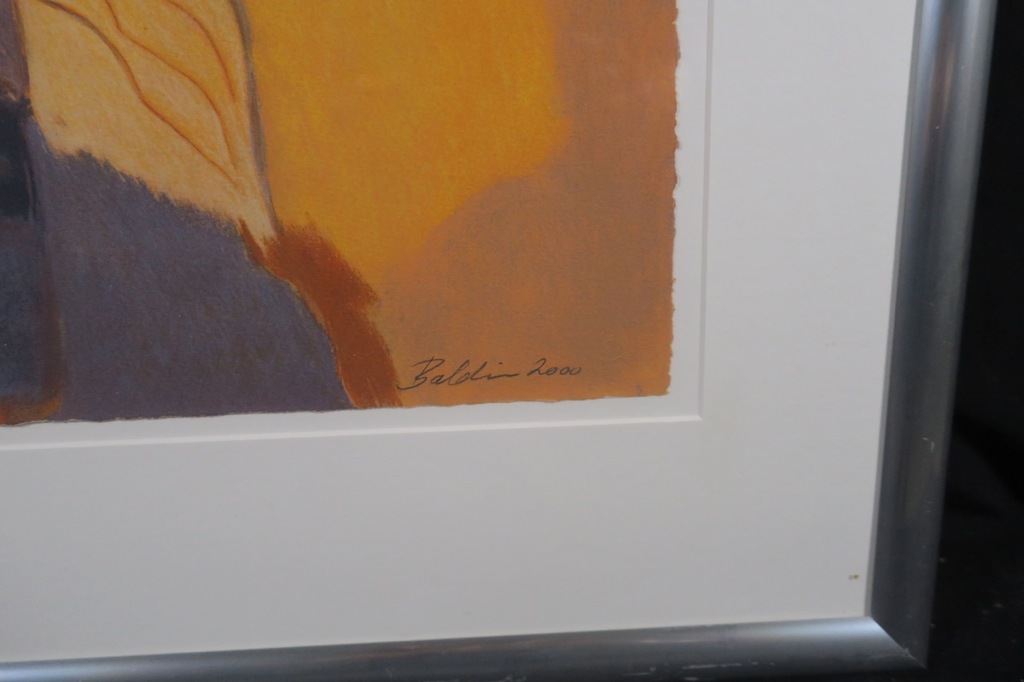 Ahmed Baldin: Zeefdruk, Dag - Ingelijst  kopen? Bied vanaf 60!