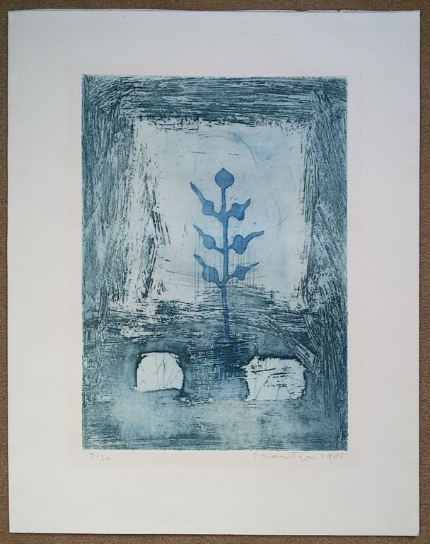 Jan Montyn - Flower of Nong Khai I, aquatint ets kopen? Bied vanaf 175!