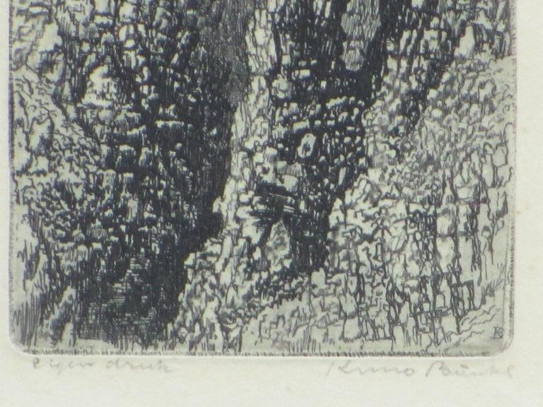 Kuno Brinks, Ets, Dolomieten  kopen? Bied vanaf 1!