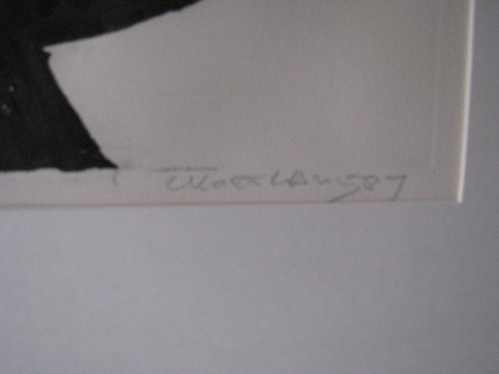 Cees Kortlang - Kleurenets kopen? Bied vanaf 80!