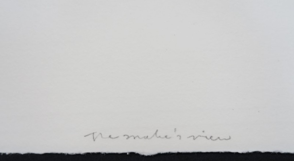 Rinke Nijburg: Ets en litho, the Snake's view kopen? Bied vanaf 1!