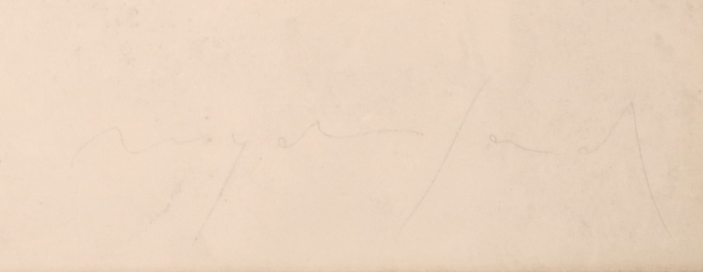 Siet Zuyderland: Zeefdruk, Reading VIII kopen? Bied vanaf 20!