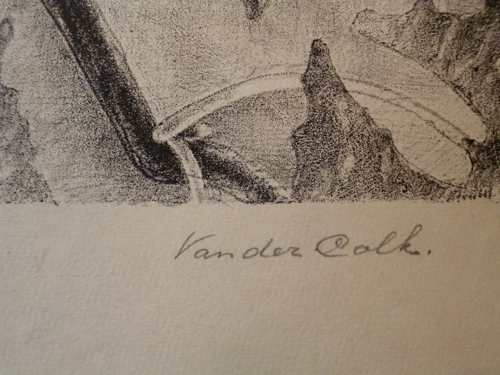 Rijpende druiven kopen? Bied vanaf 50!